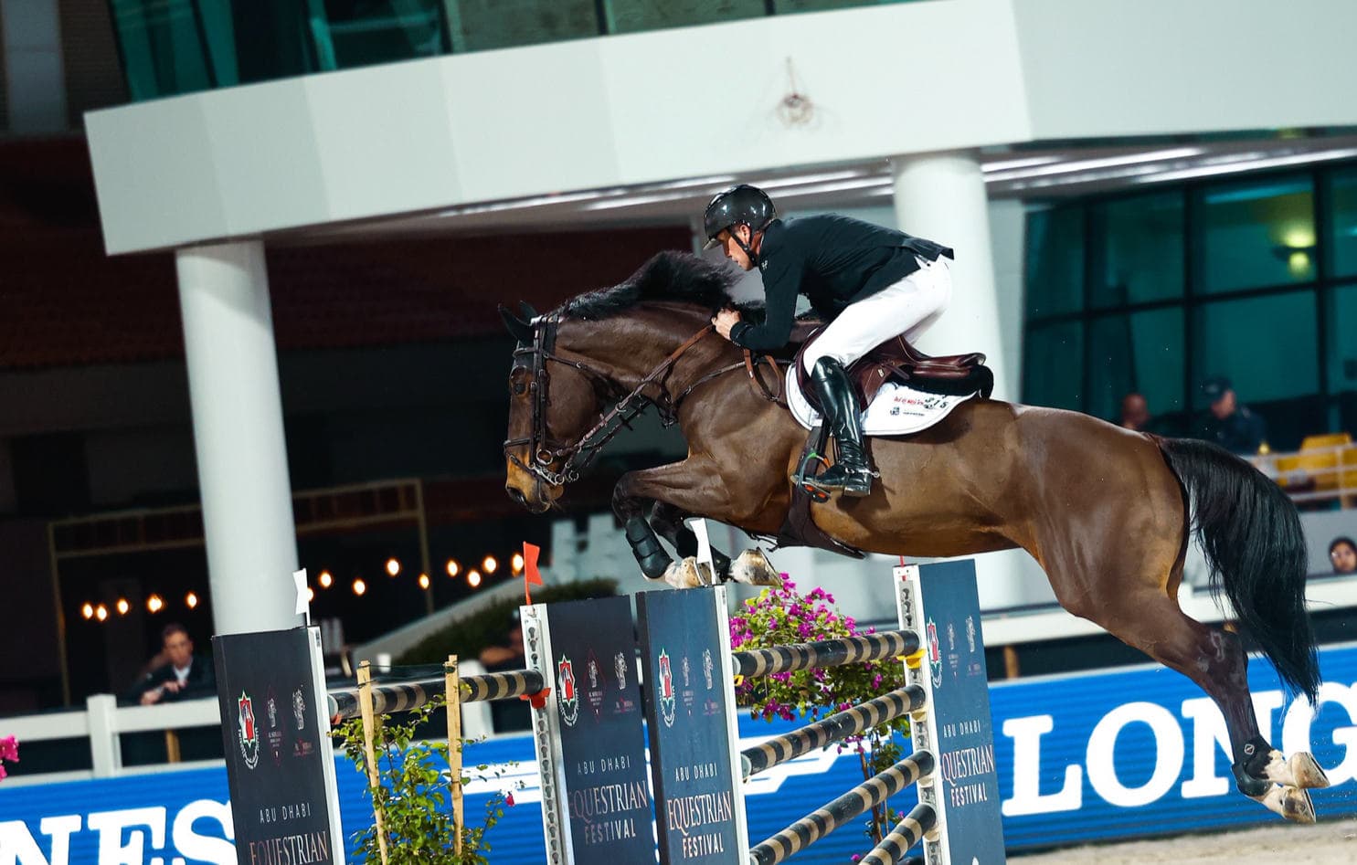 Showjumping & Livery